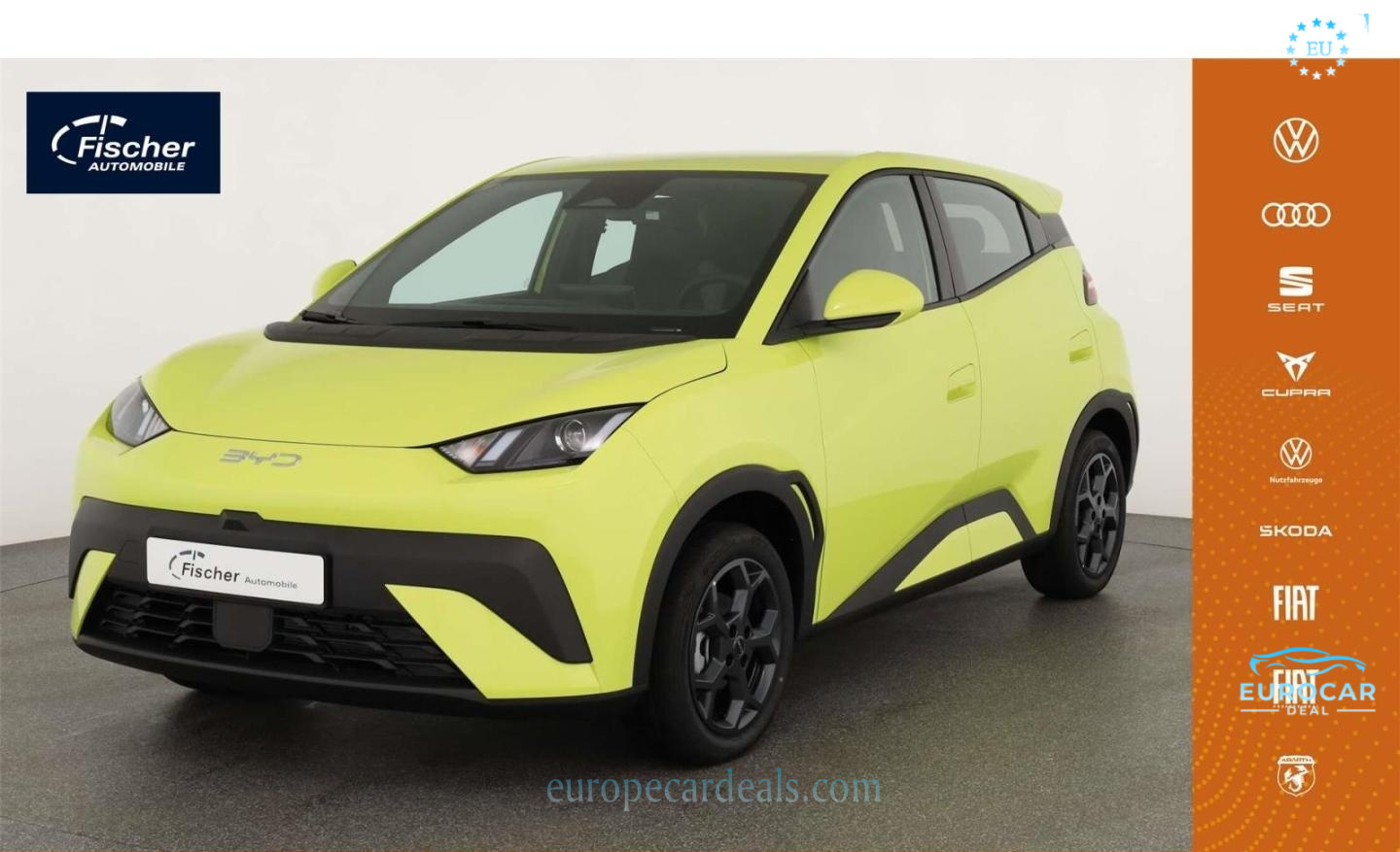 BYD DOLPHIN
