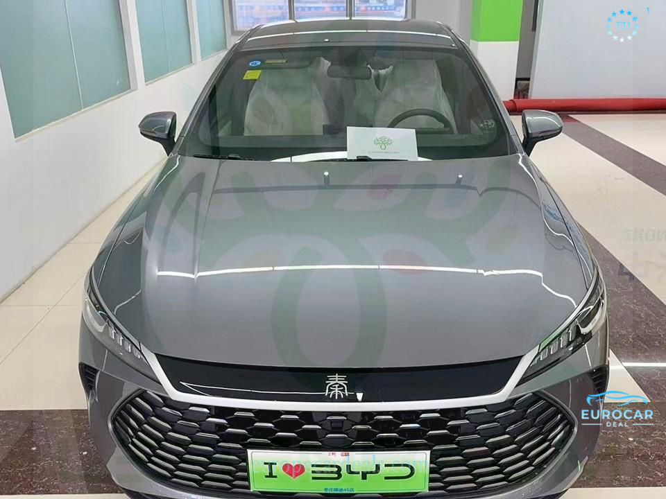 BYD Other