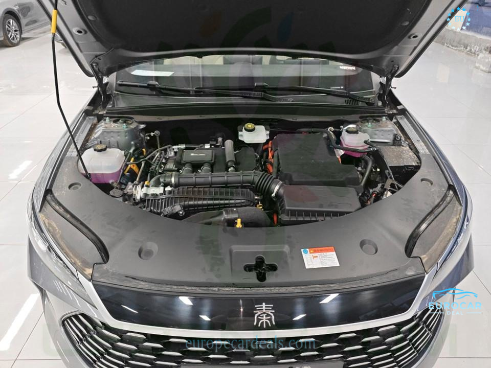 BYD Other