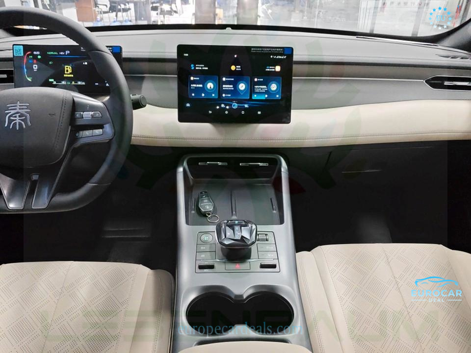 BYD Other