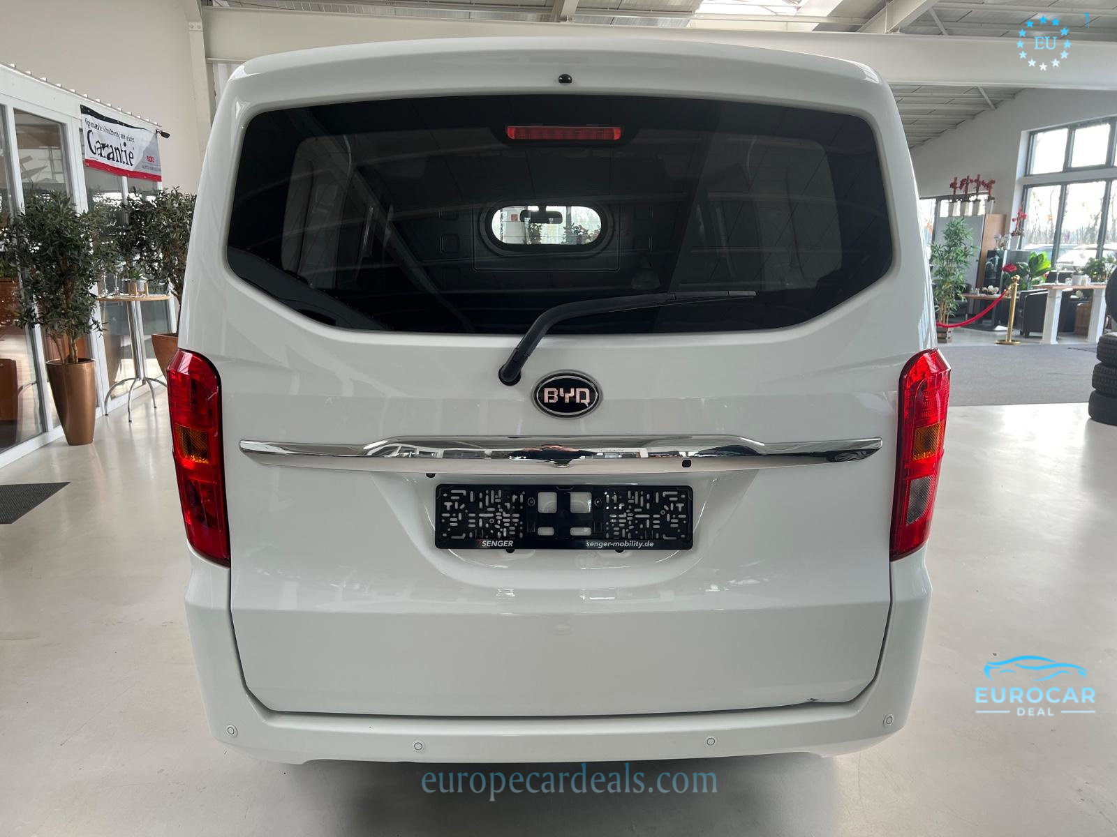 BYD Other