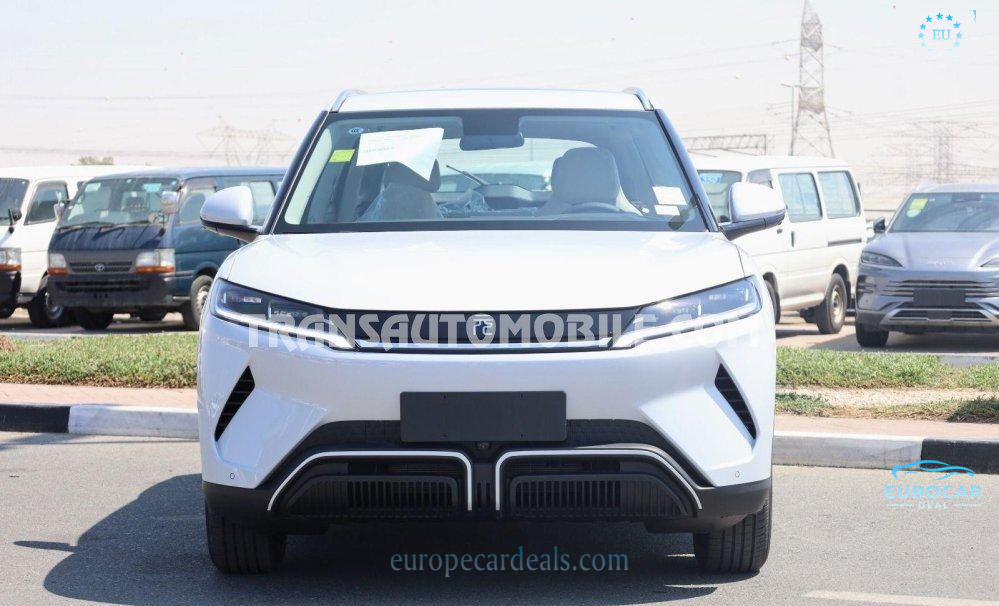 BYD Other