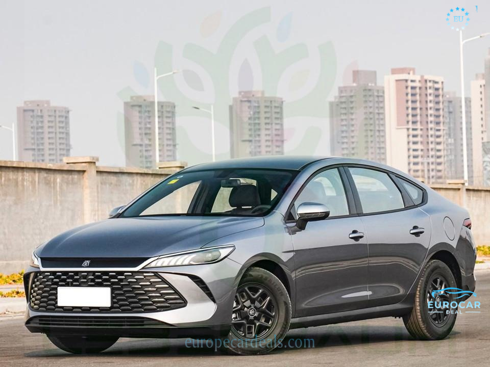 BYD Other