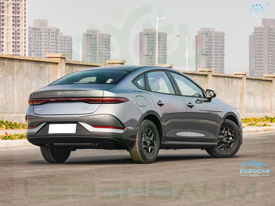 BYD Other