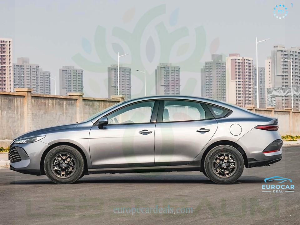 BYD Other