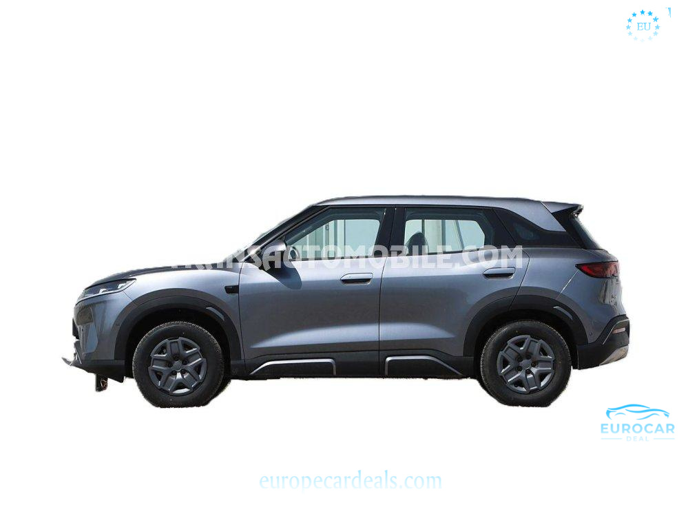 BYD Other