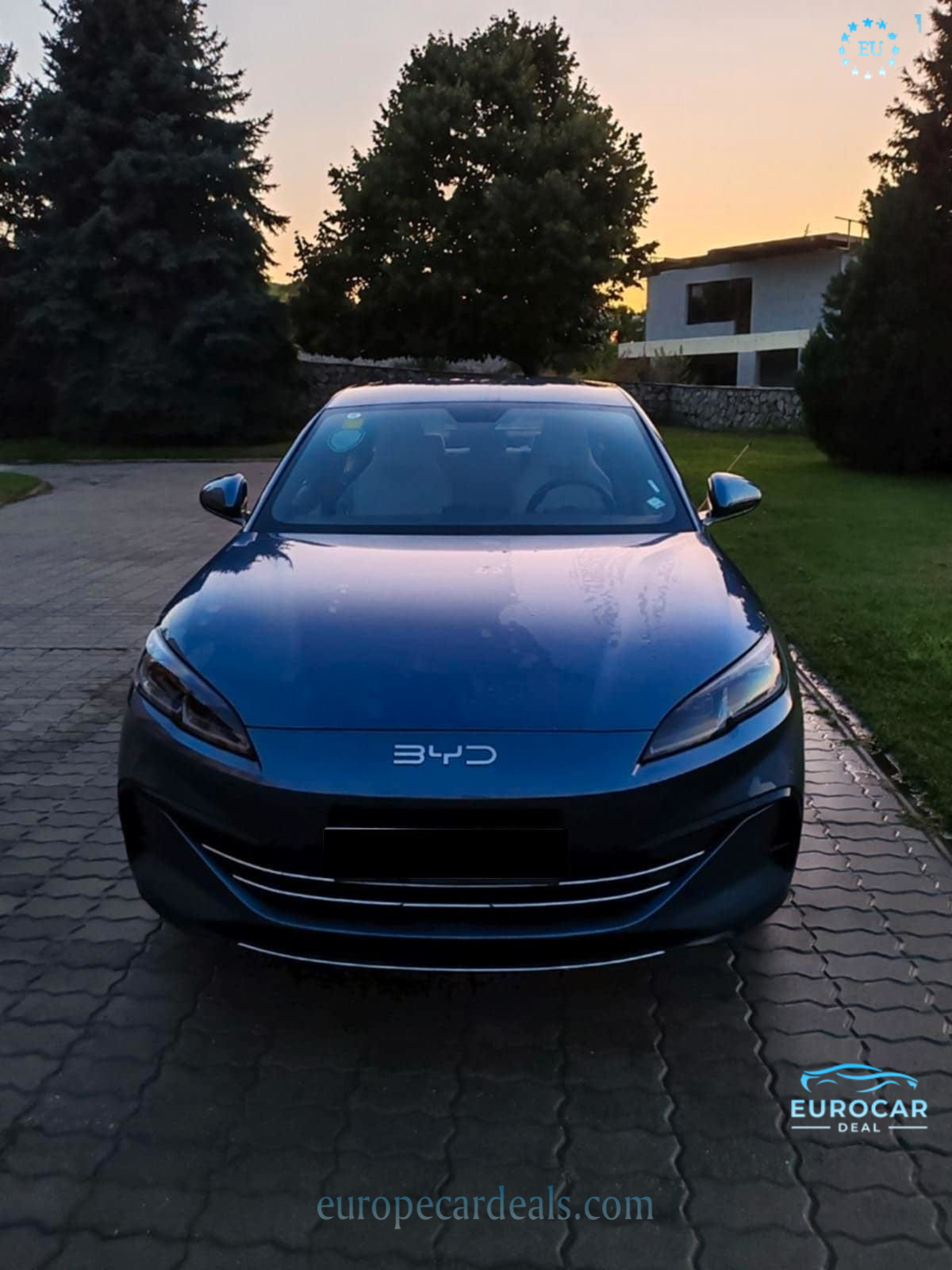 BYD Other