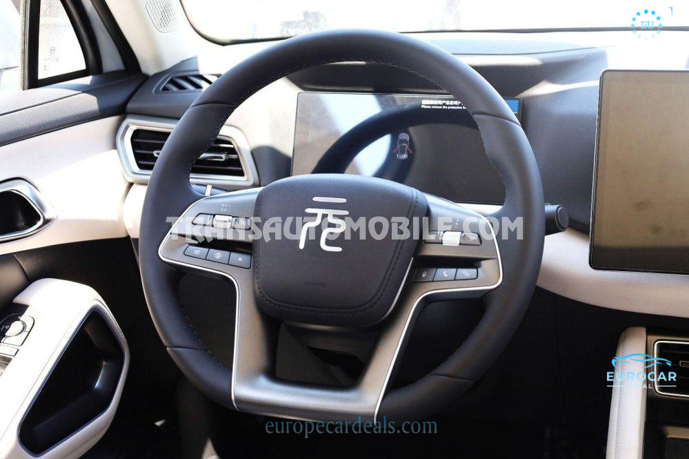 BYD Other