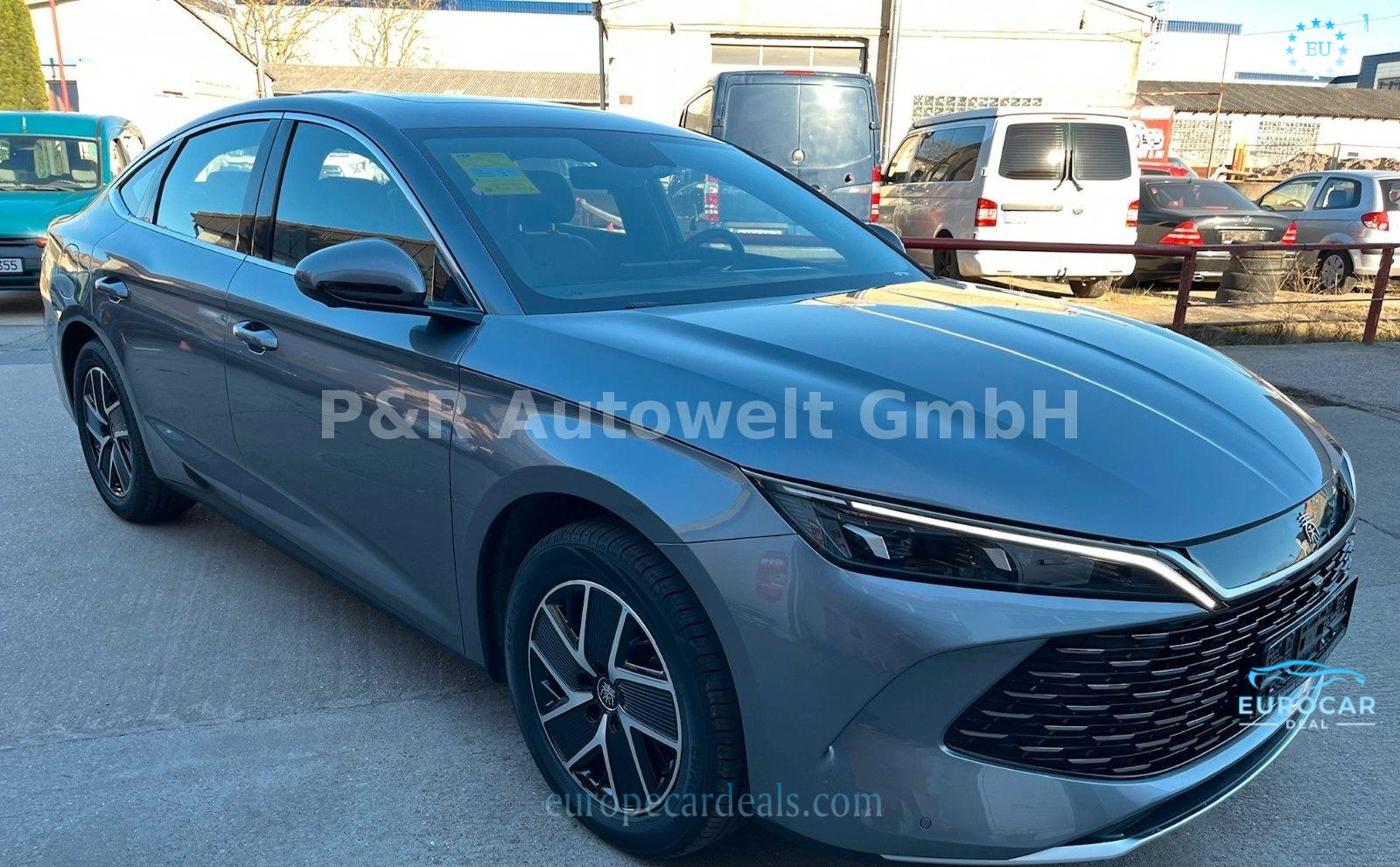 BYD Other