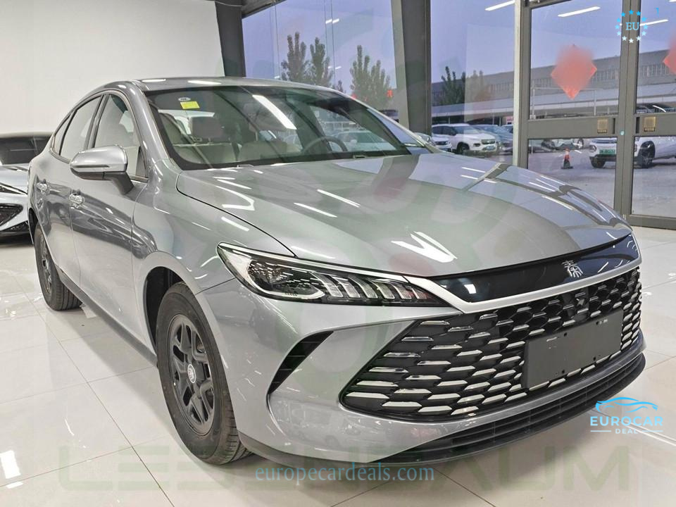 BYD Other