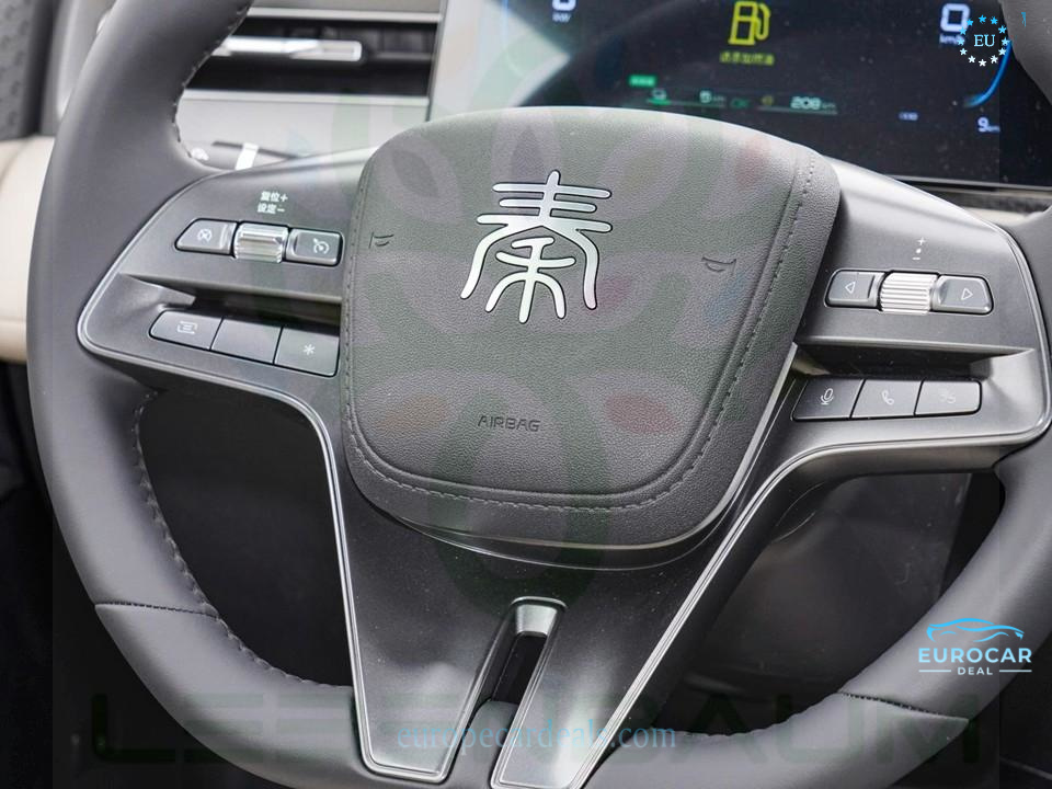 BYD Other