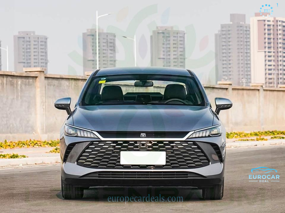 BYD Other