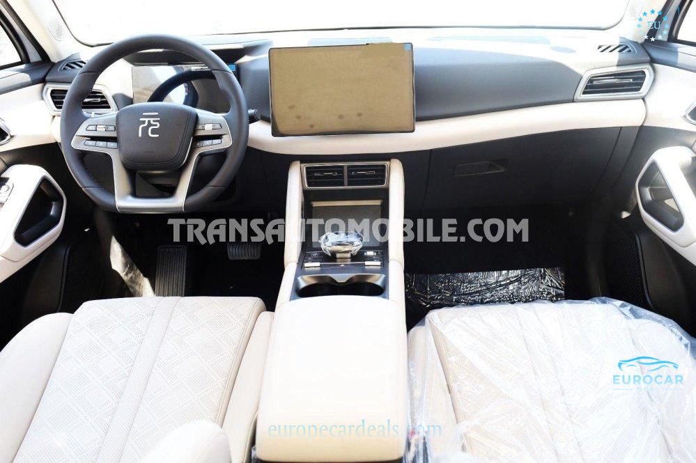 BYD Other
