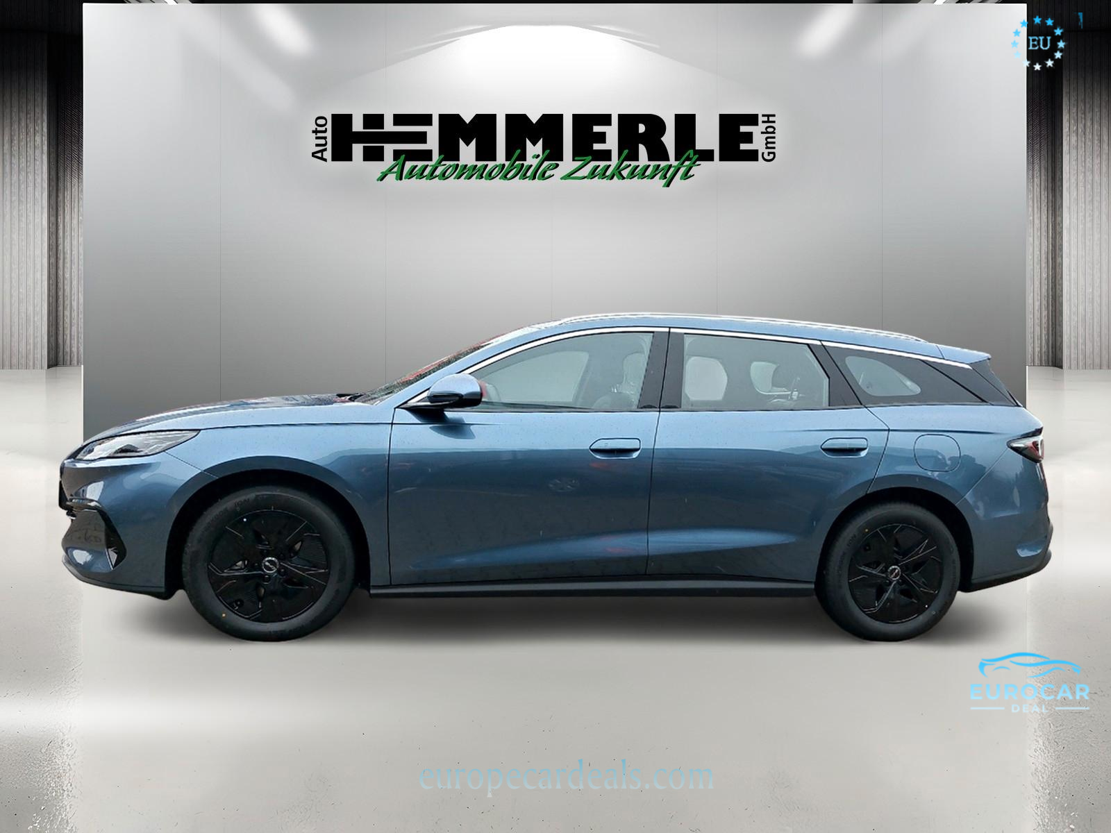 BYD Other