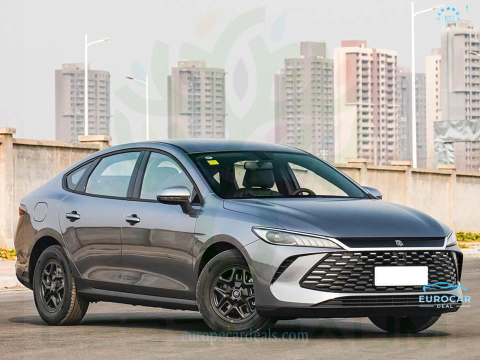 BYD Other
