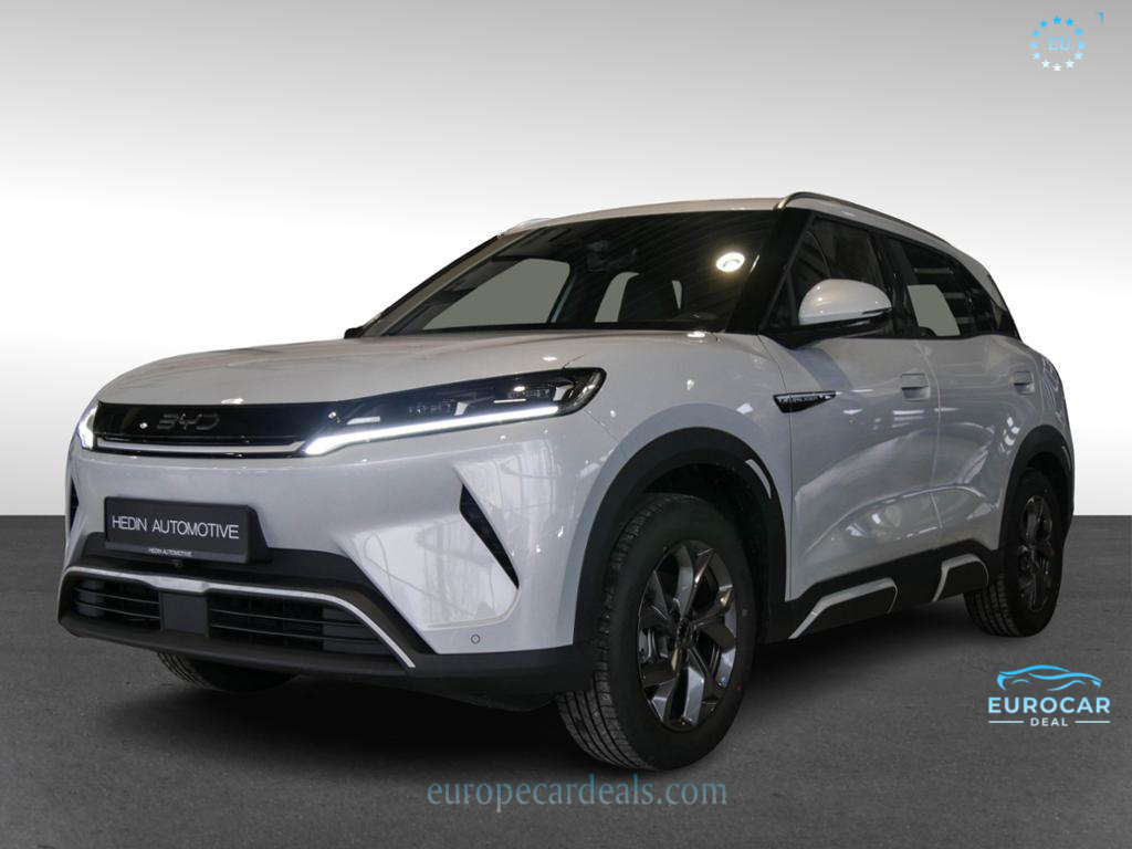 BYD Other
