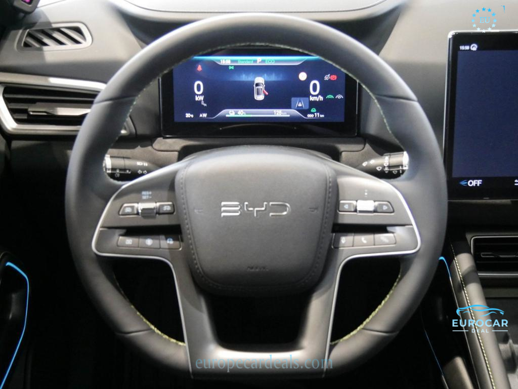 BYD Other