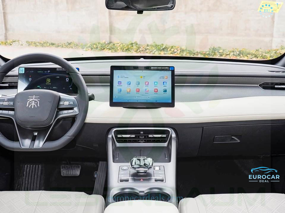 BYD Other