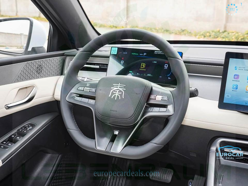BYD Other