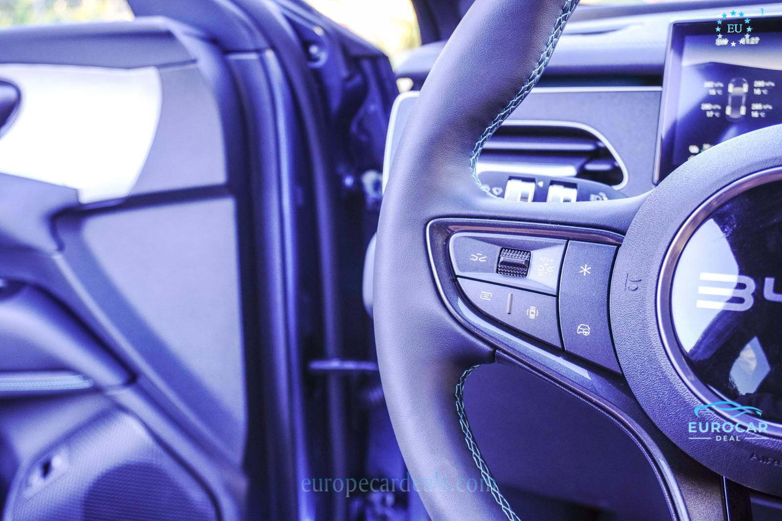 BYD Other