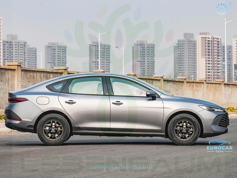 BYD Other