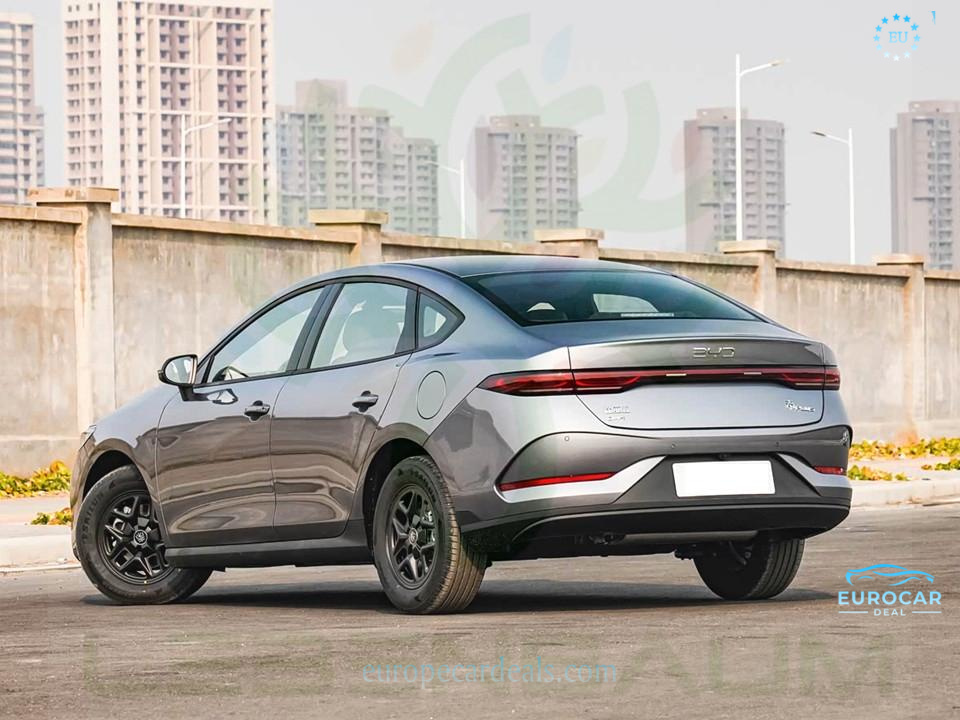 BYD Other