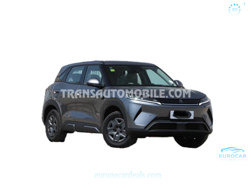 BYD Other