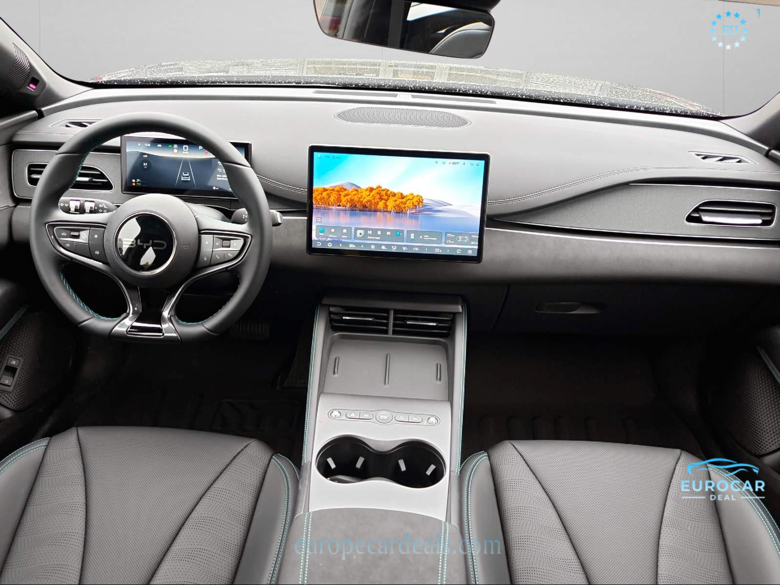 BYD Other