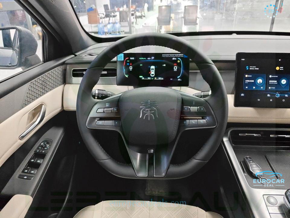 BYD Other