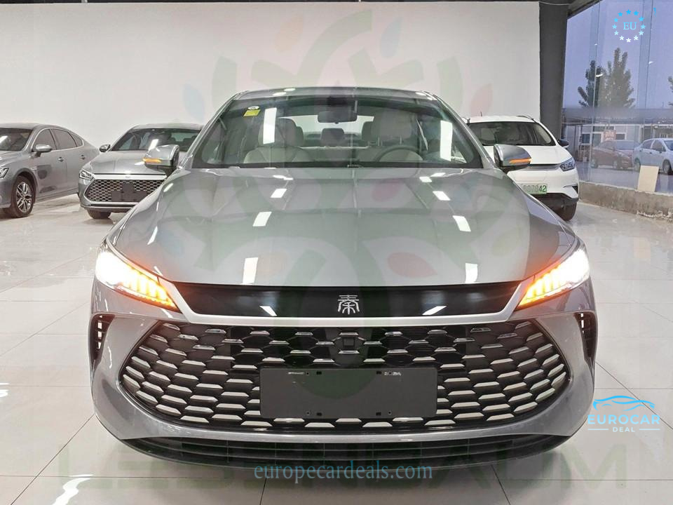 BYD Other