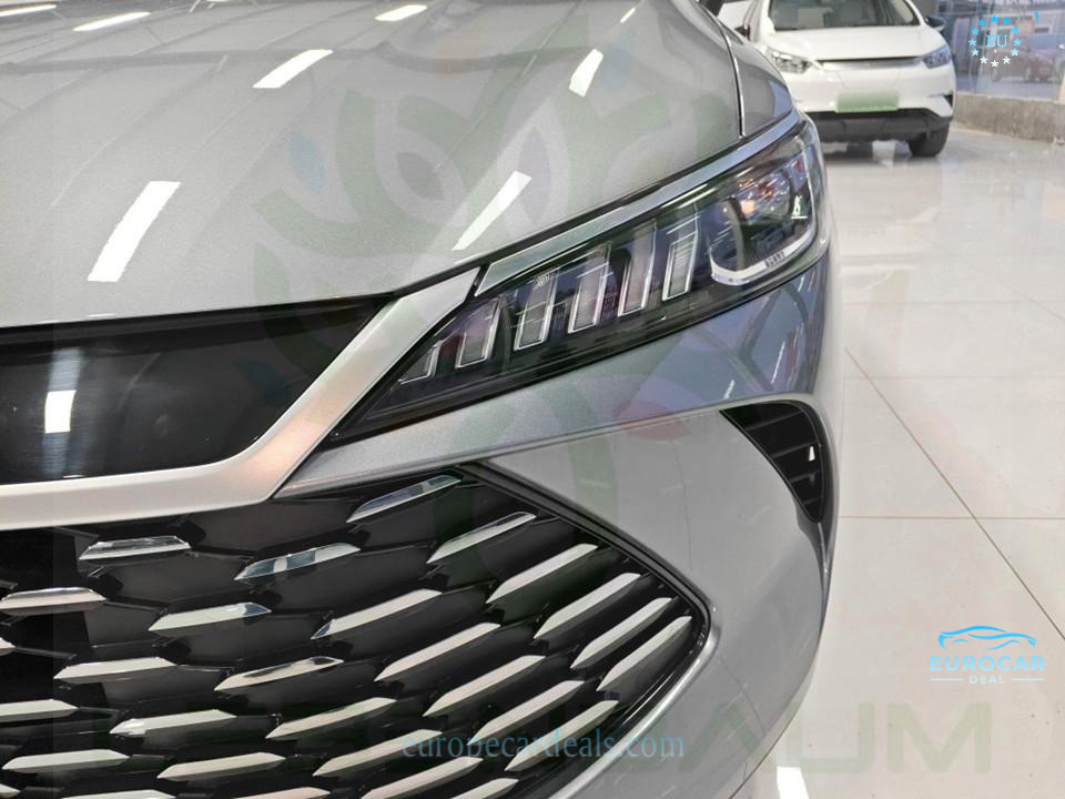 BYD Other