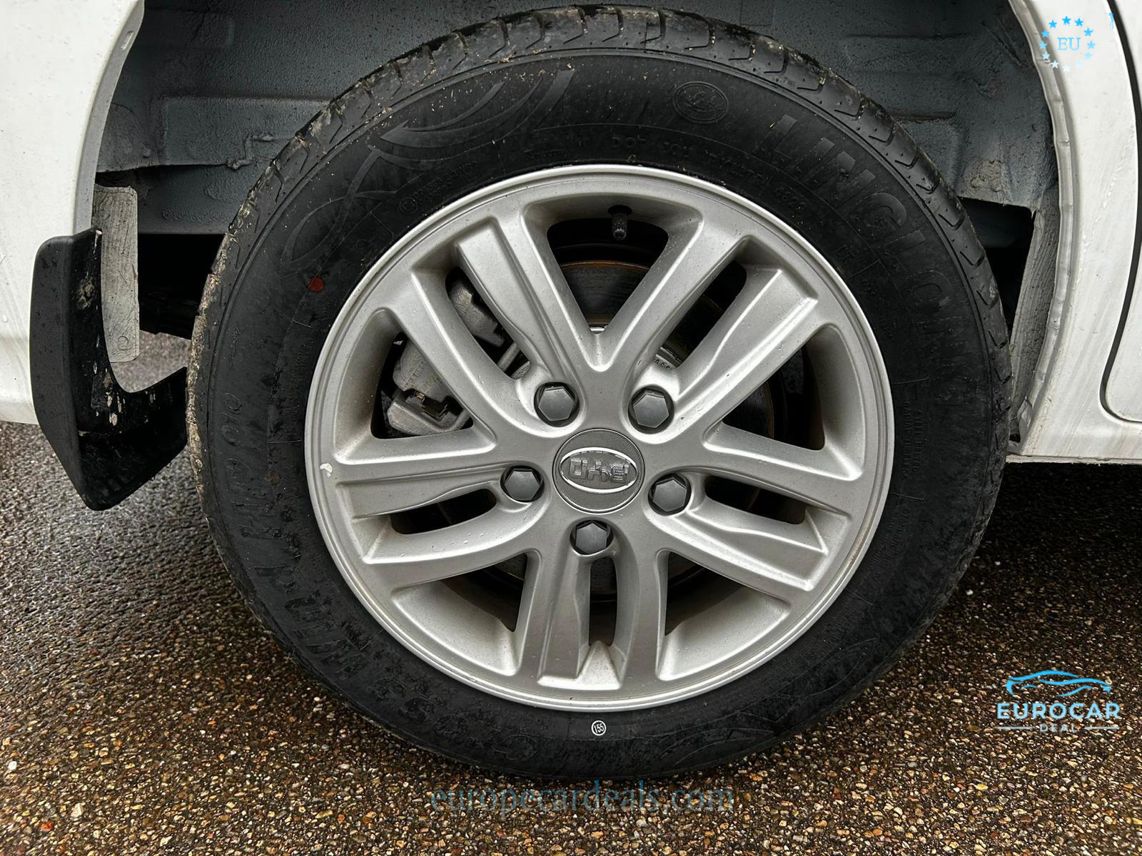 BYD Other