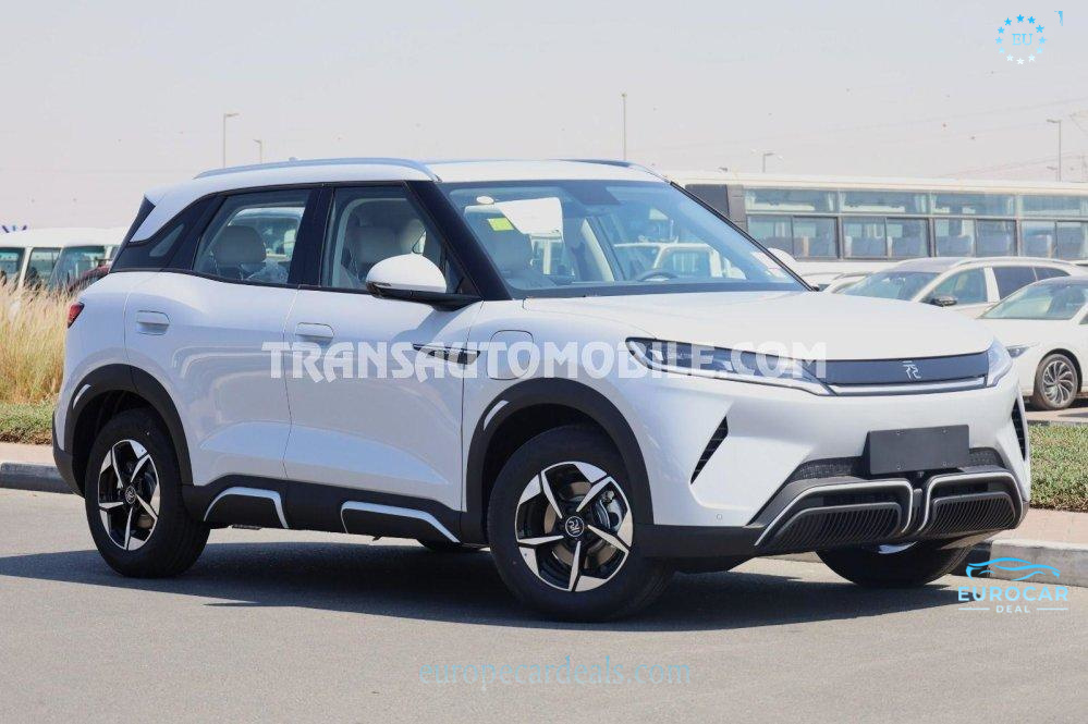 BYD Other