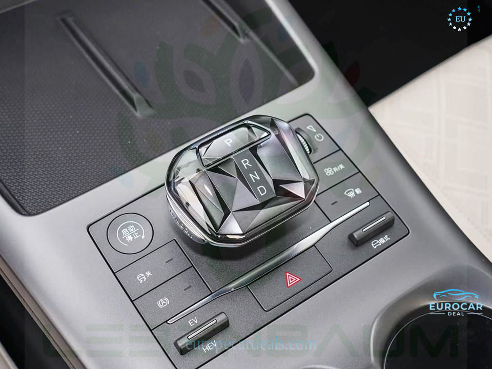 BYD Other