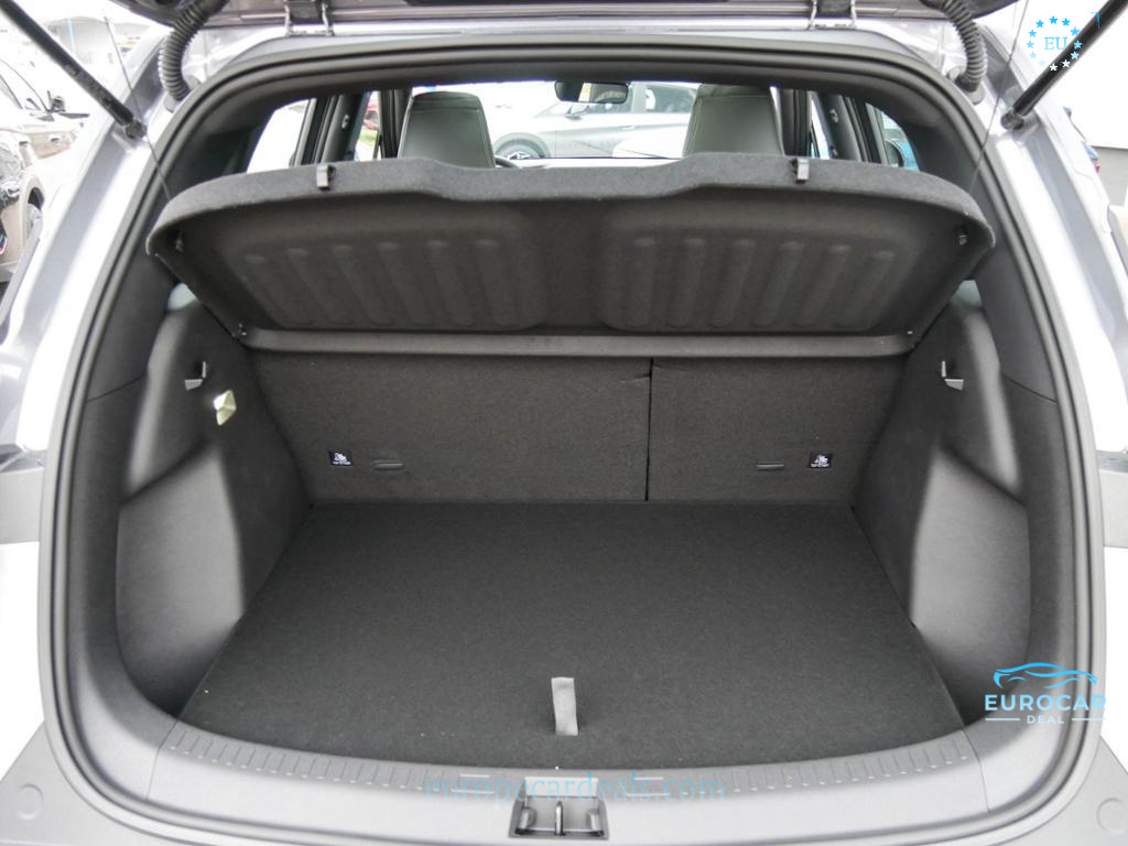BYD Other