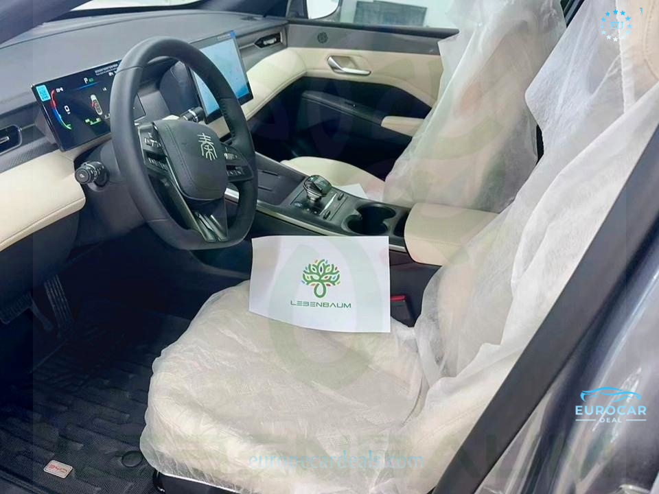 BYD Other