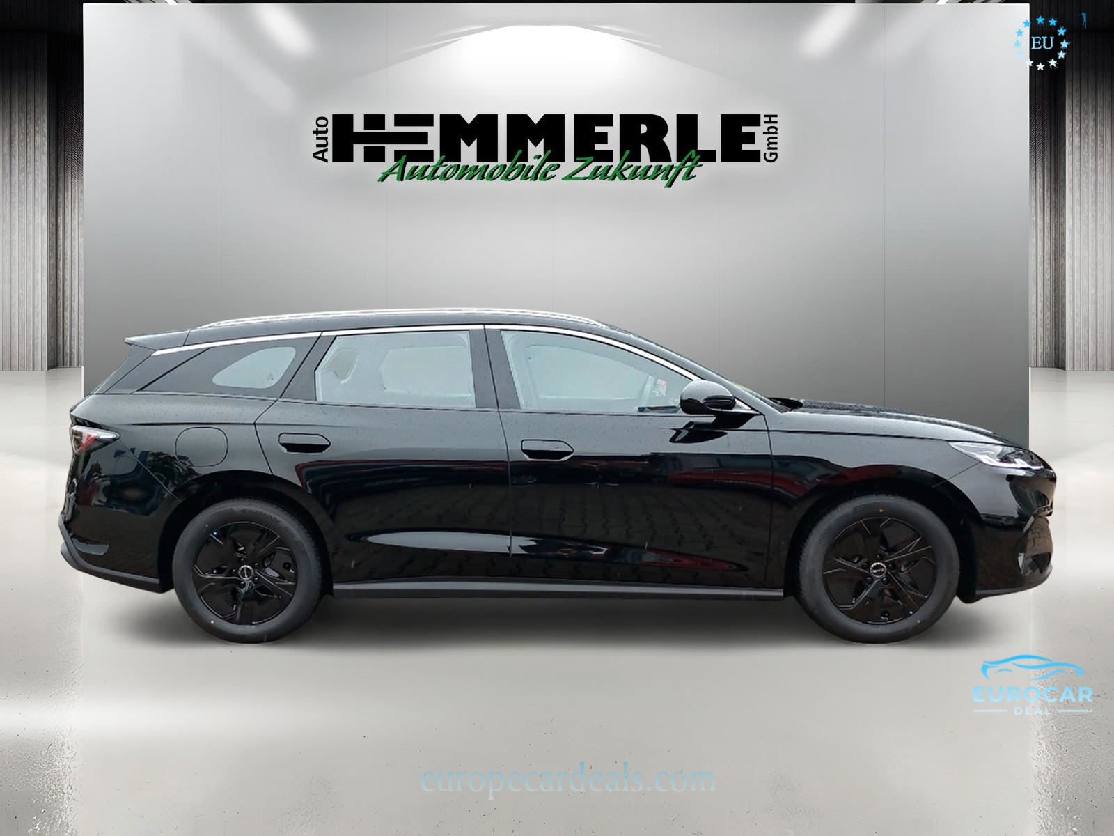 BYD Other