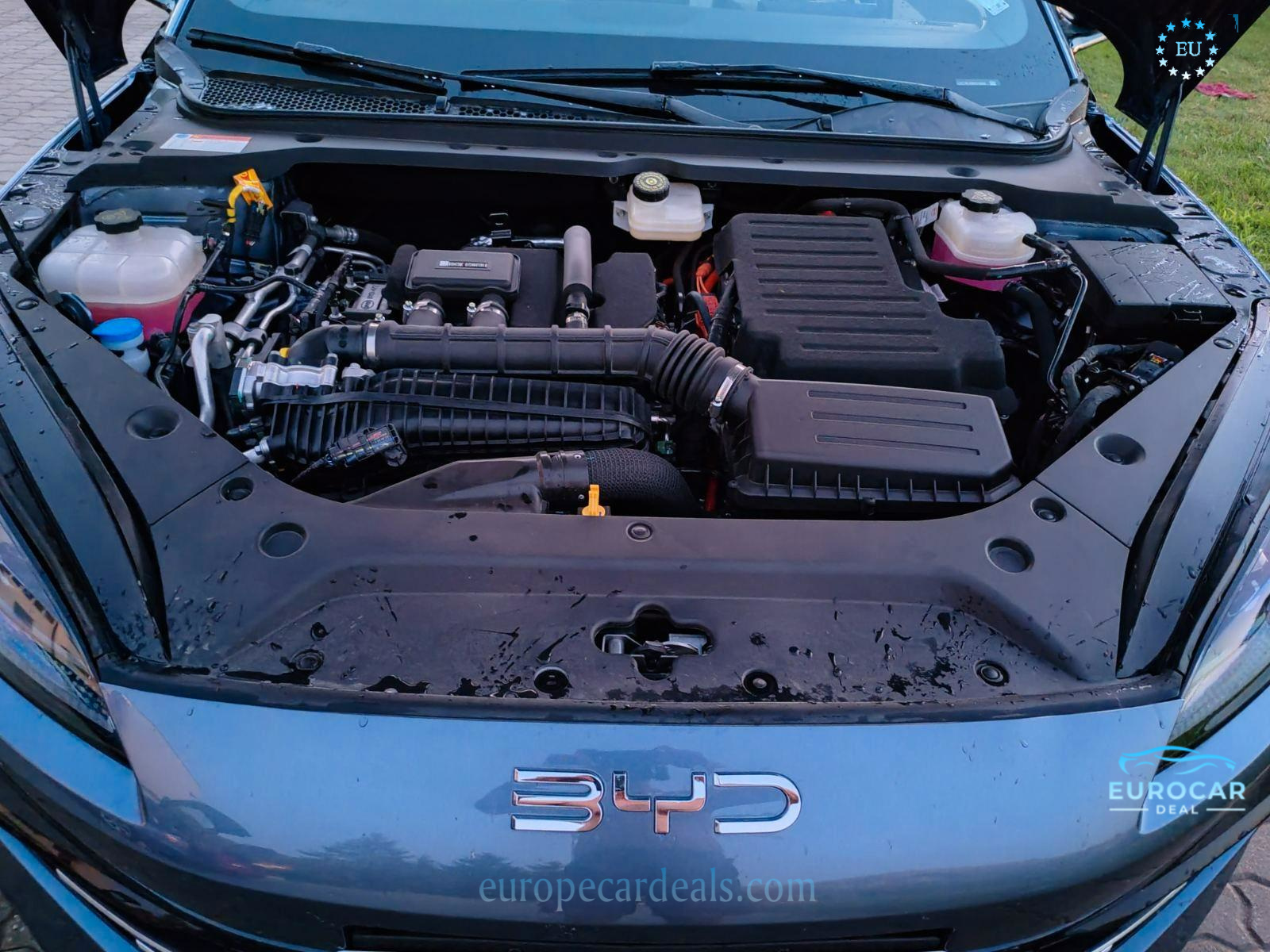 BYD Other