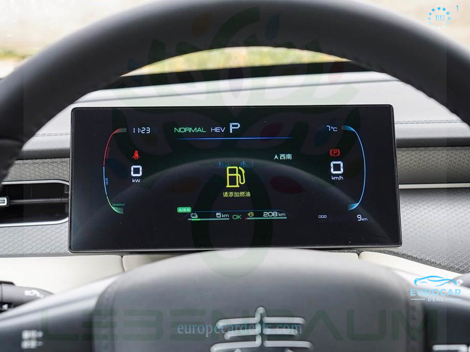 BYD Other