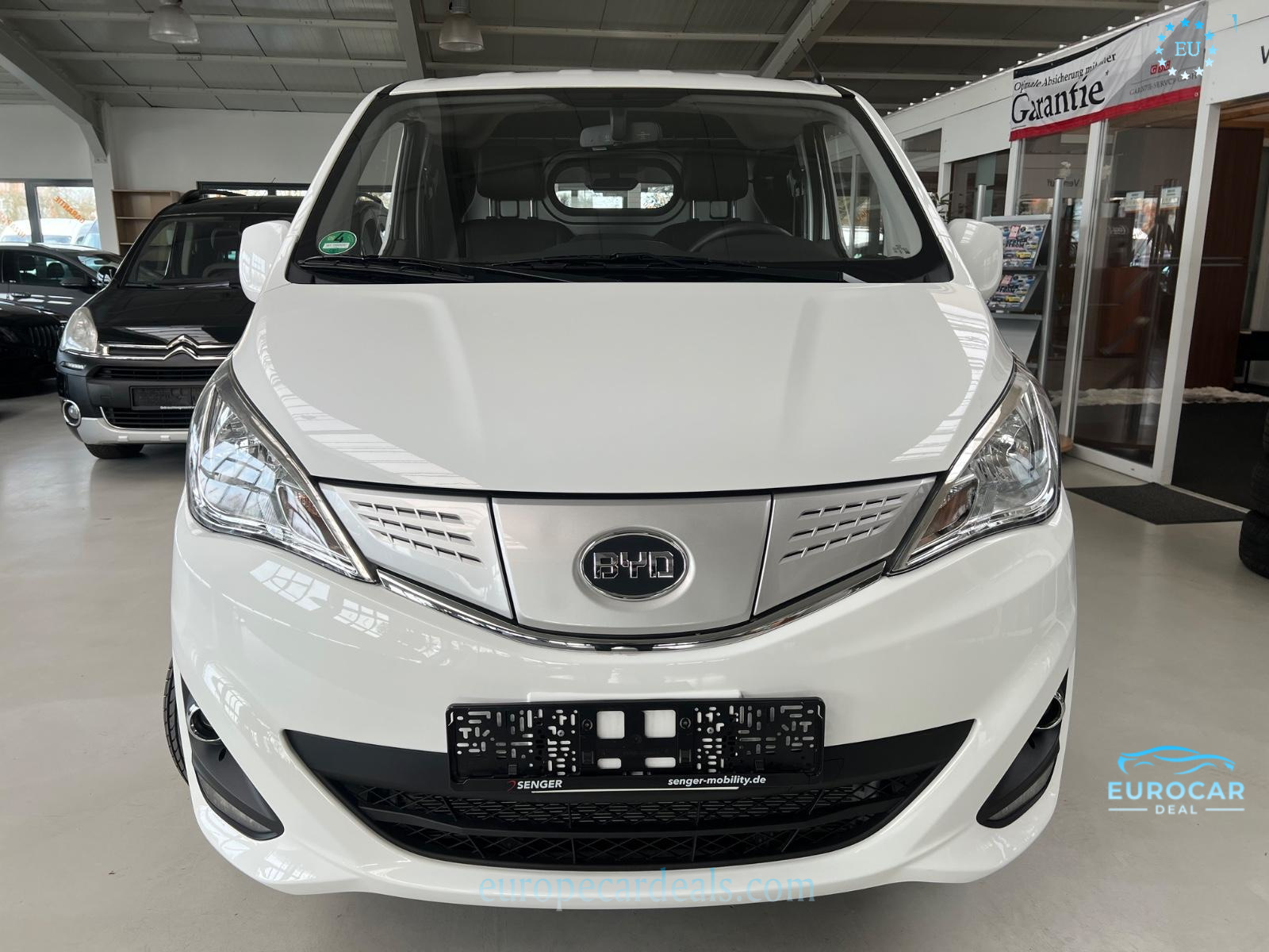 BYD Other