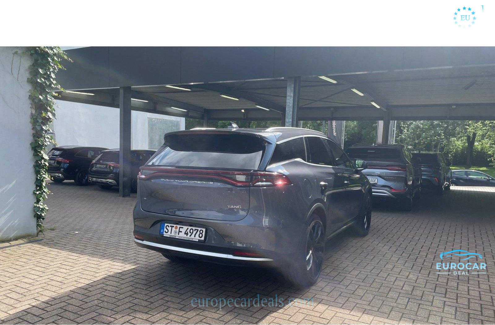 BYD TANG