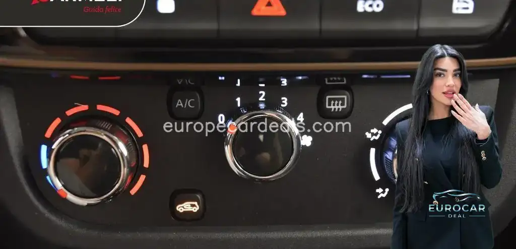 Dacia Other