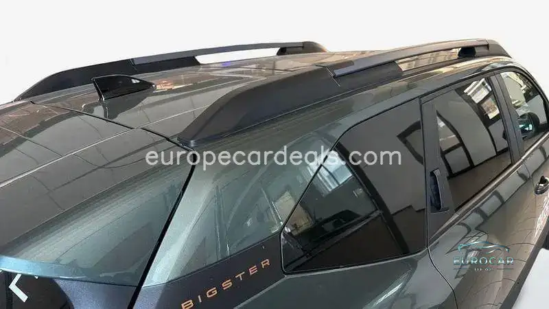 Dacia Other
