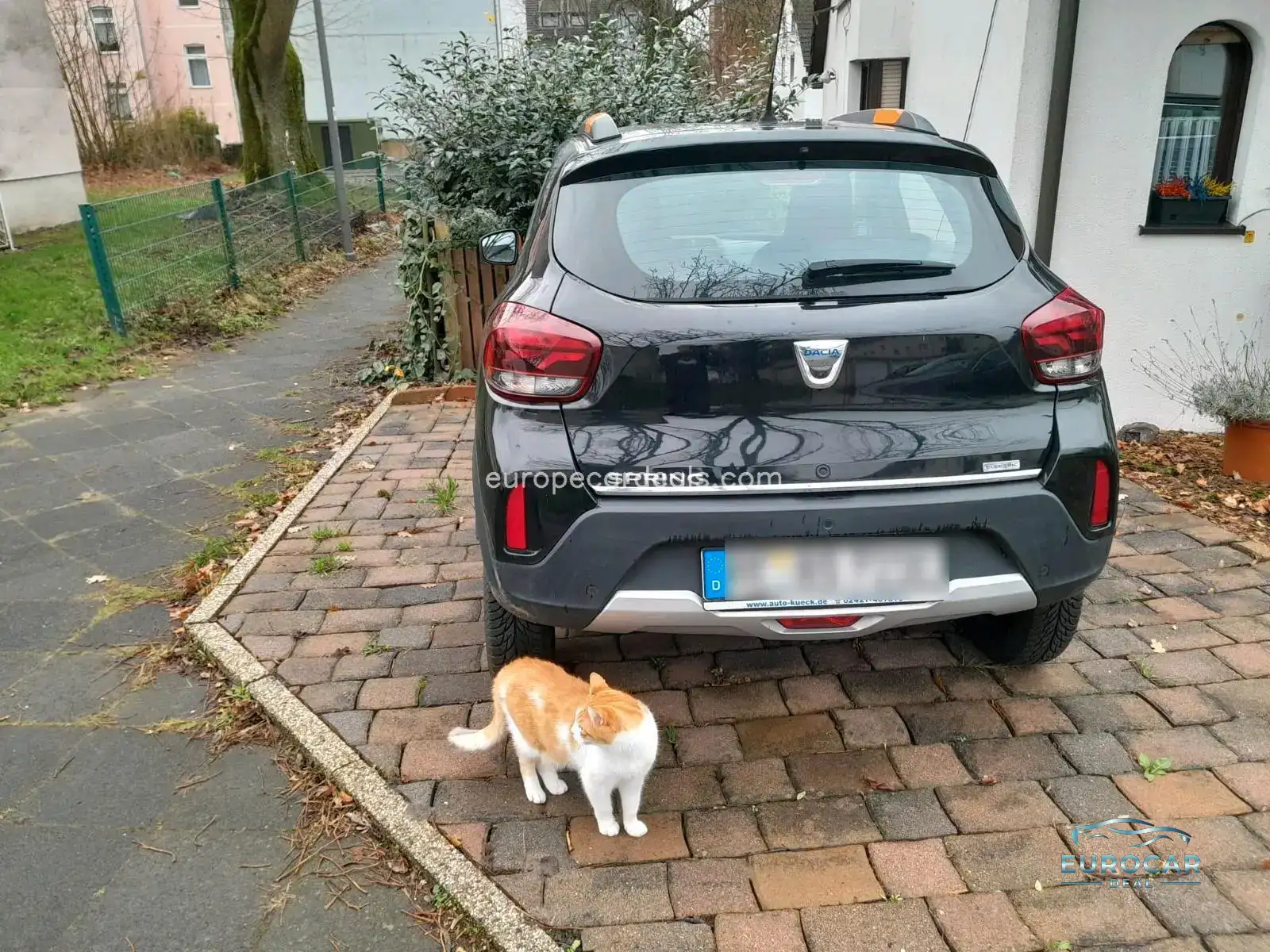 Dacia Spring