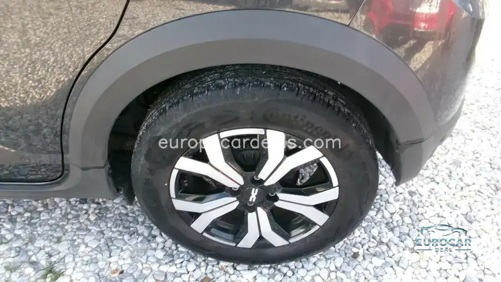 Dacia Other