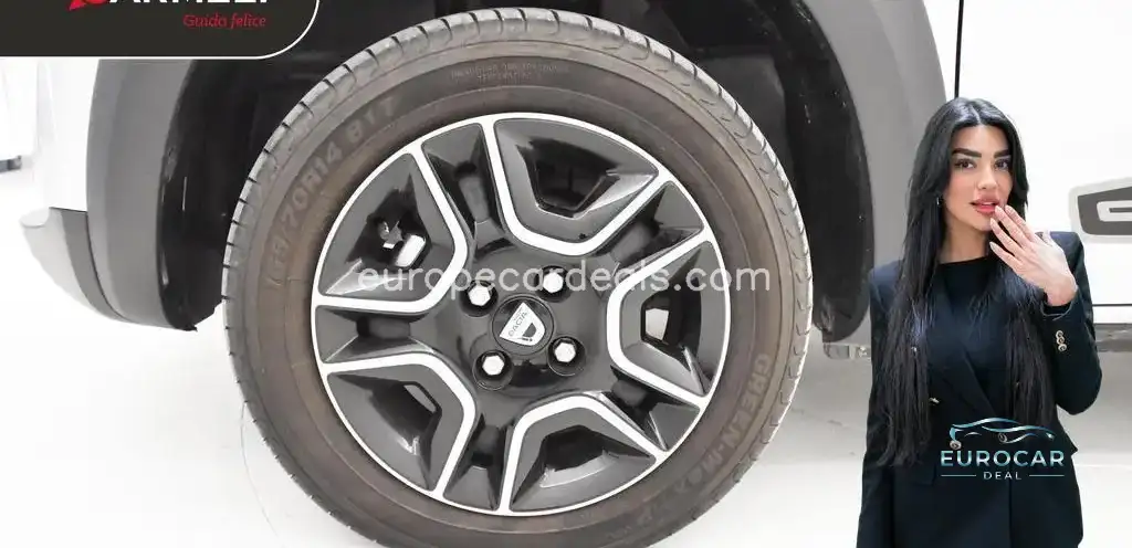 Dacia Other