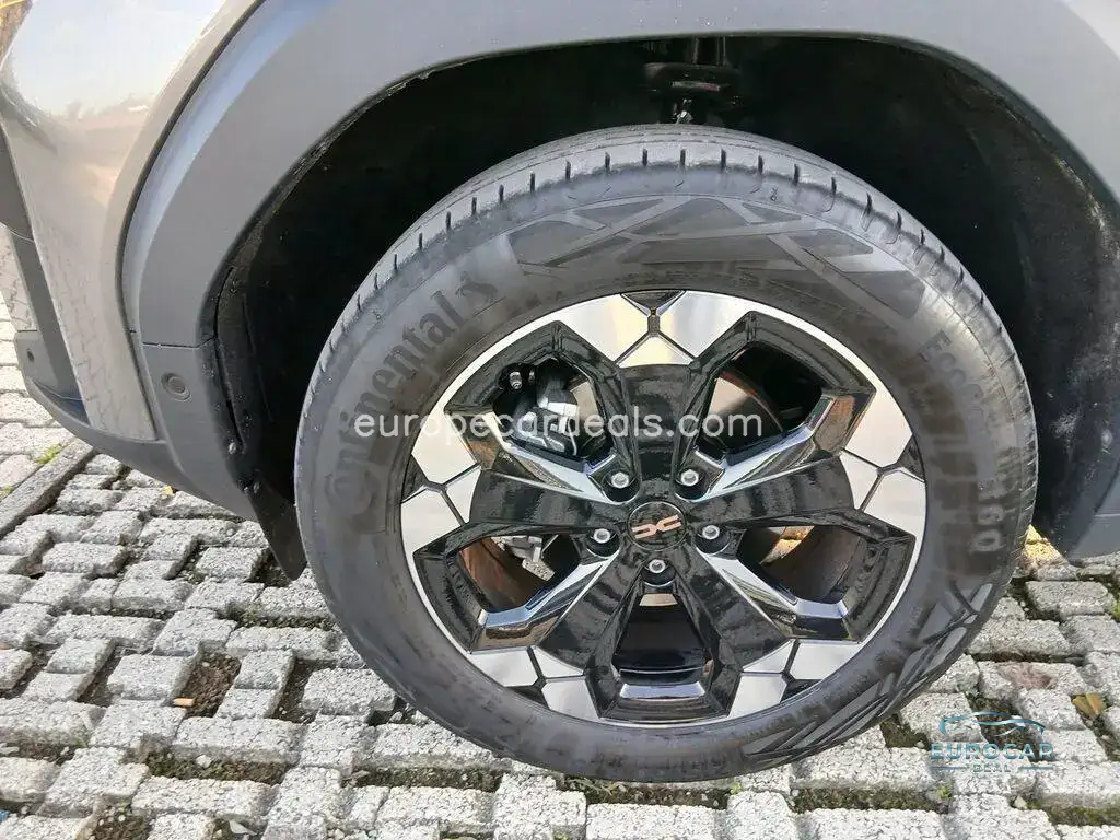 Dacia Other