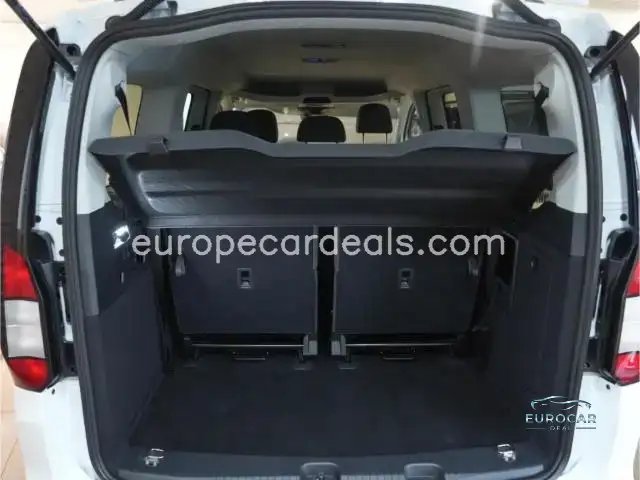 Ford Grand Tourneo