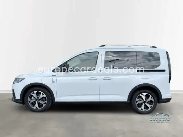 Ford Tourneo