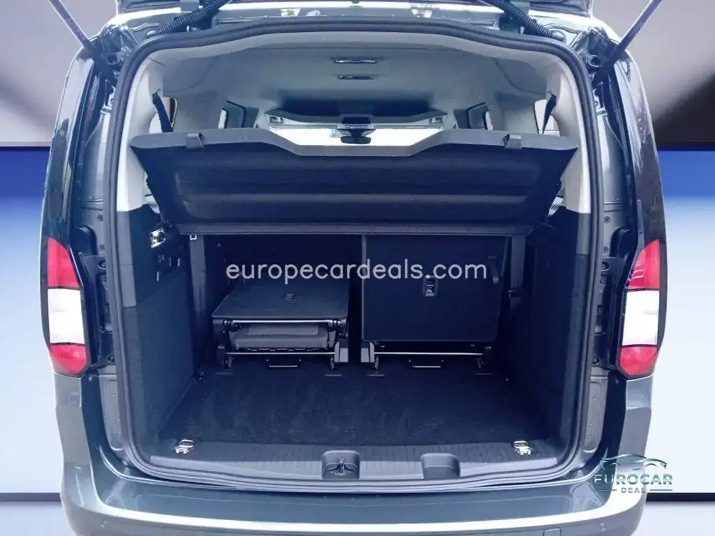 Ford Grand Tourneo